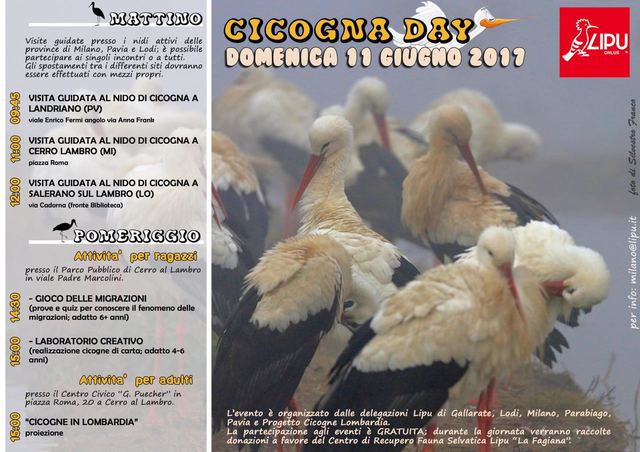 11 Giugno - Cicogna Day