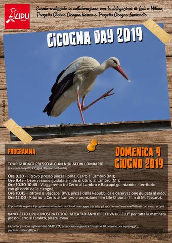Cicogna Day