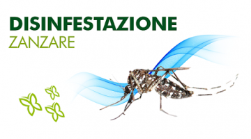 Disinfestazione a Riozzo